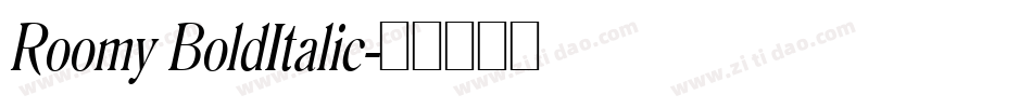 Roomy BoldItalic字体转换